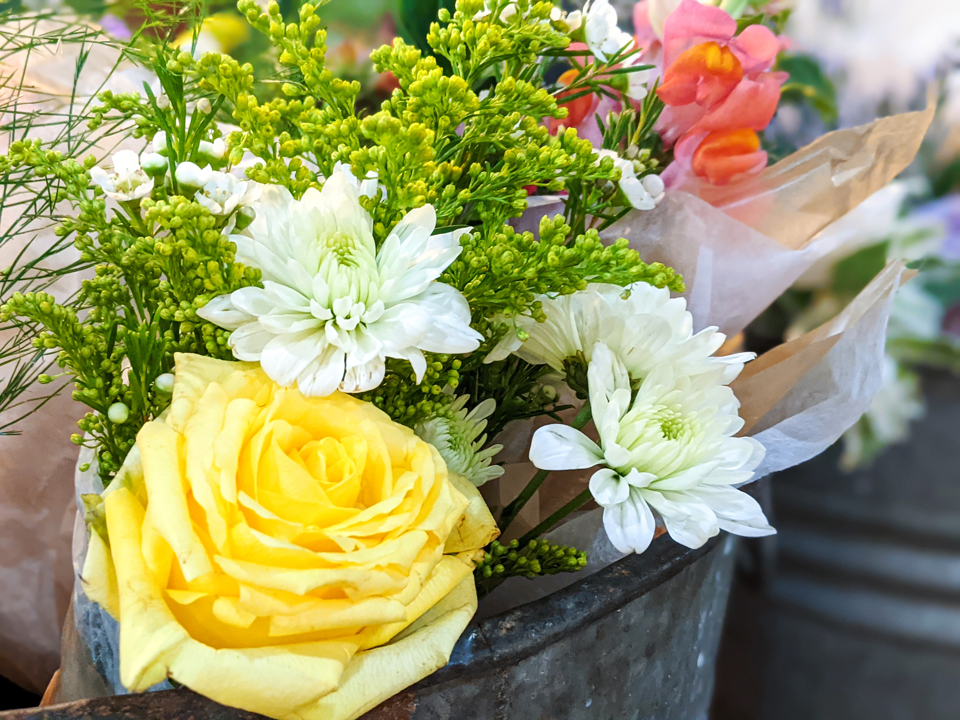 Flowers at Lancaster Central Market - America's Oldest Continually Running Farmer's Market in Lancaster, PA